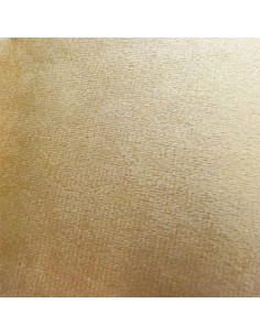 Cojín 45x45cm velvet arena 2