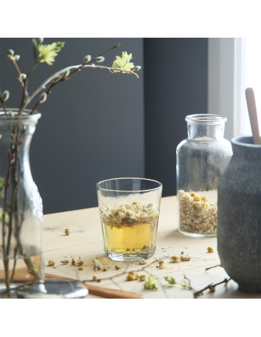 Vaso 305ml Set de 6 - Elegante y Moderno para Tus Bebidas