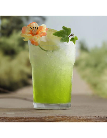 Vaso largo 365ml set de 6