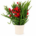 Arreglo ramas navidad 20cm muerdago rojo
