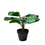 Planta artificial Calatea 36cm