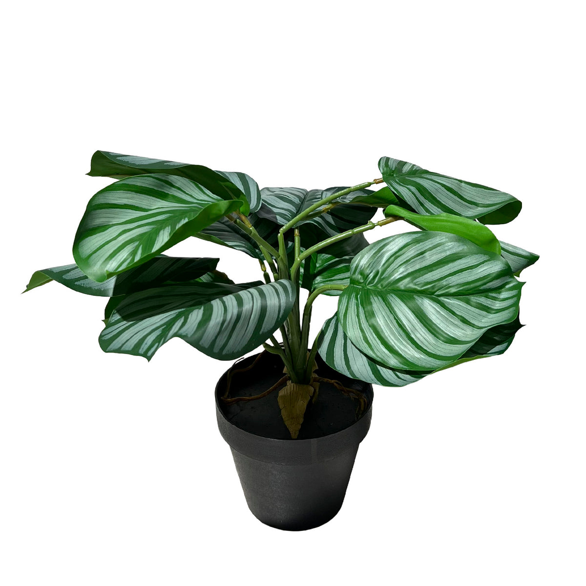 Planta artificial Calatea 36cm