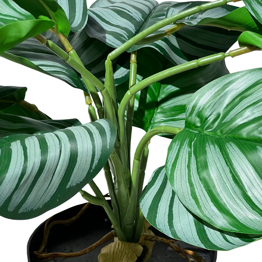 Planta artificial Calatea 36cm
