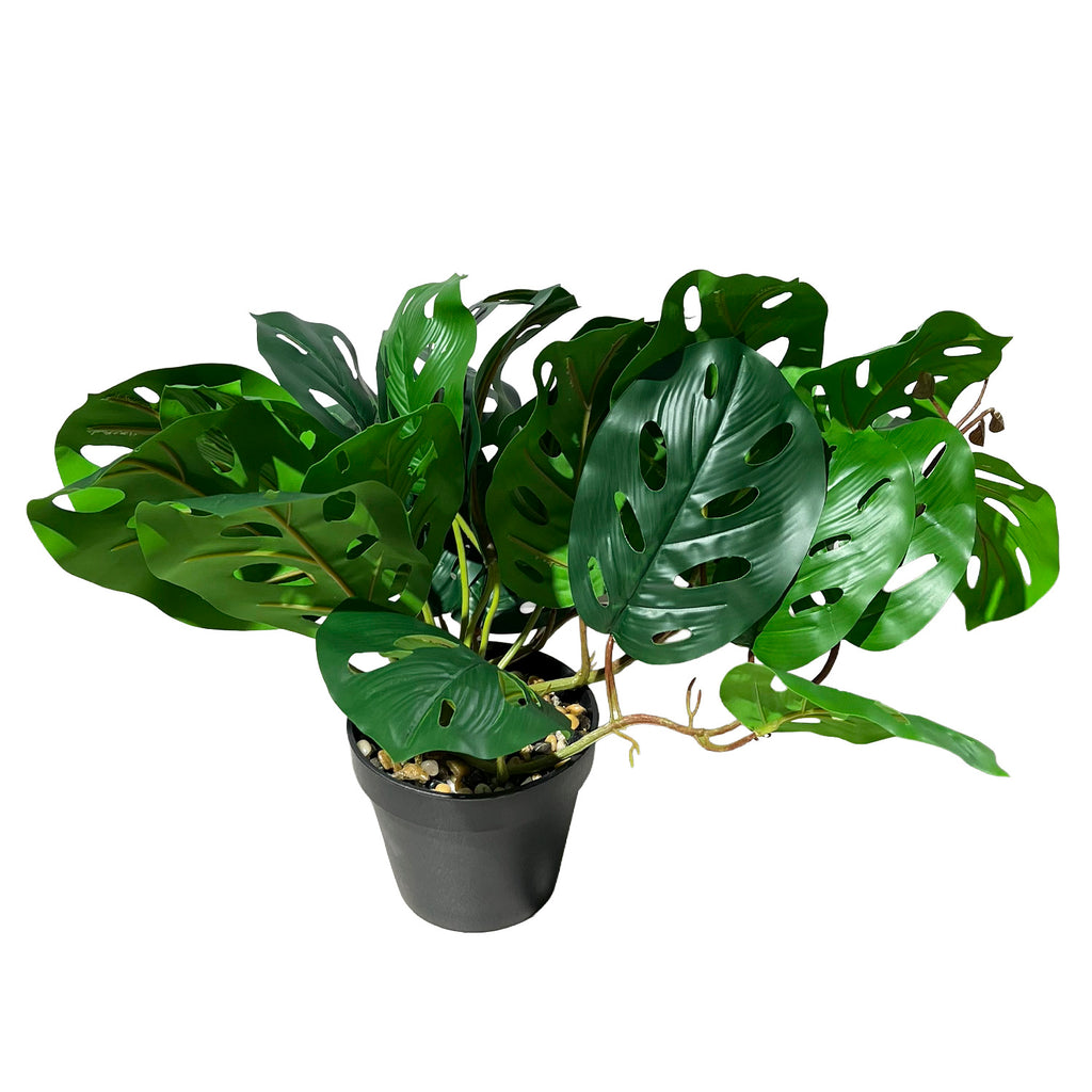 Planta artificial Monstera Adansonii 32cm