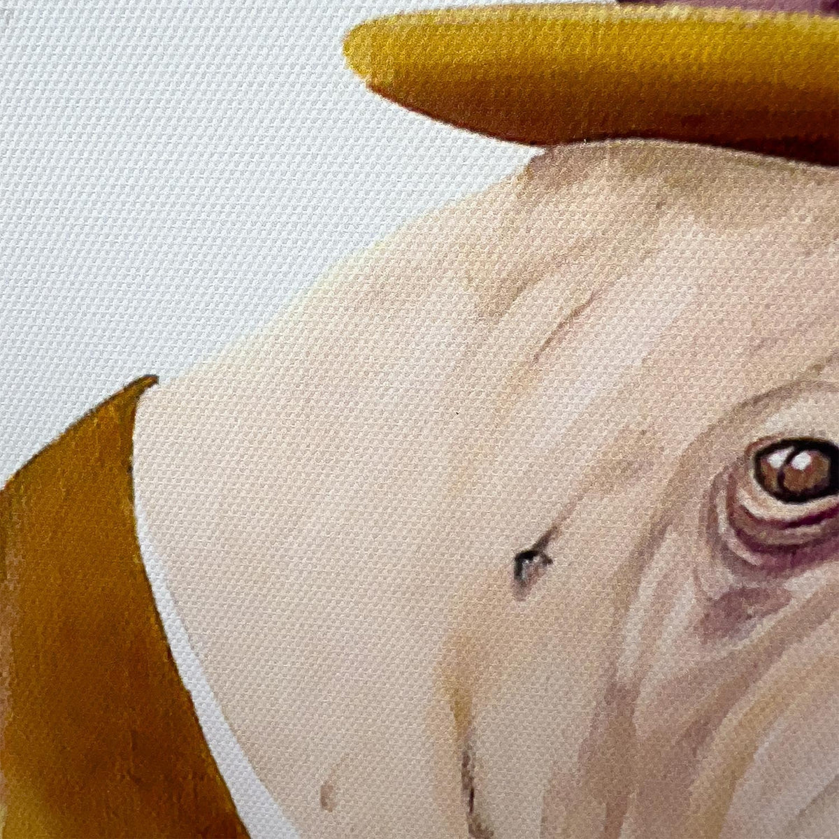 Canvas 30x40cm morsa pipa