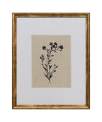 Cuadro 40x50 flor negra D1