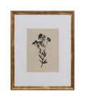 Cuadro 40x50 flor negra D2