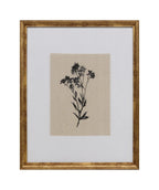 Cuadro 40x50 flor negra D2