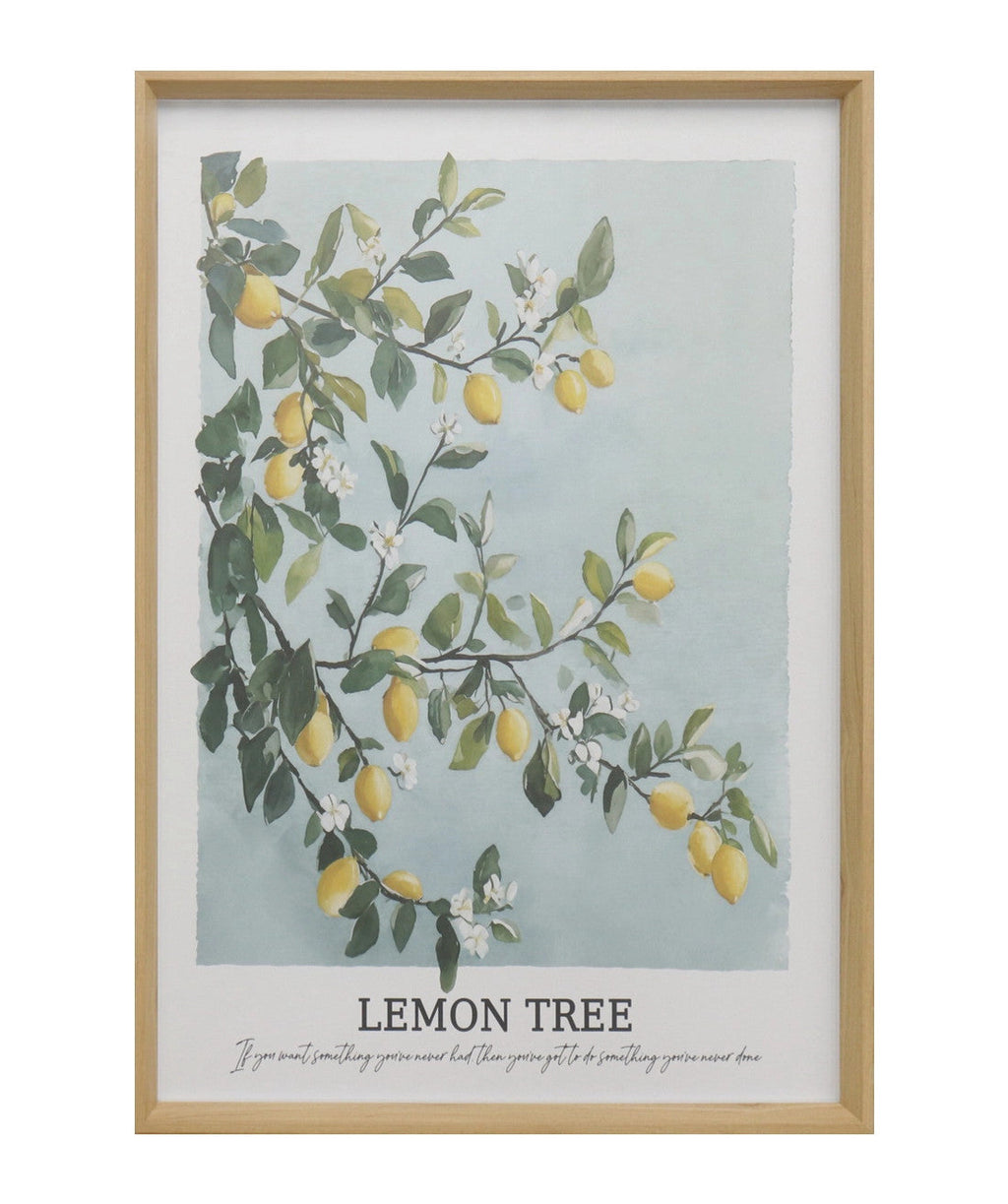 Cuadro 50x70 arbol limon