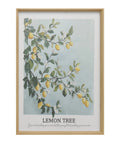 Cuadro 50x70 arbol limon