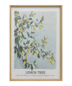 Cuadro 50x70 arbol limon