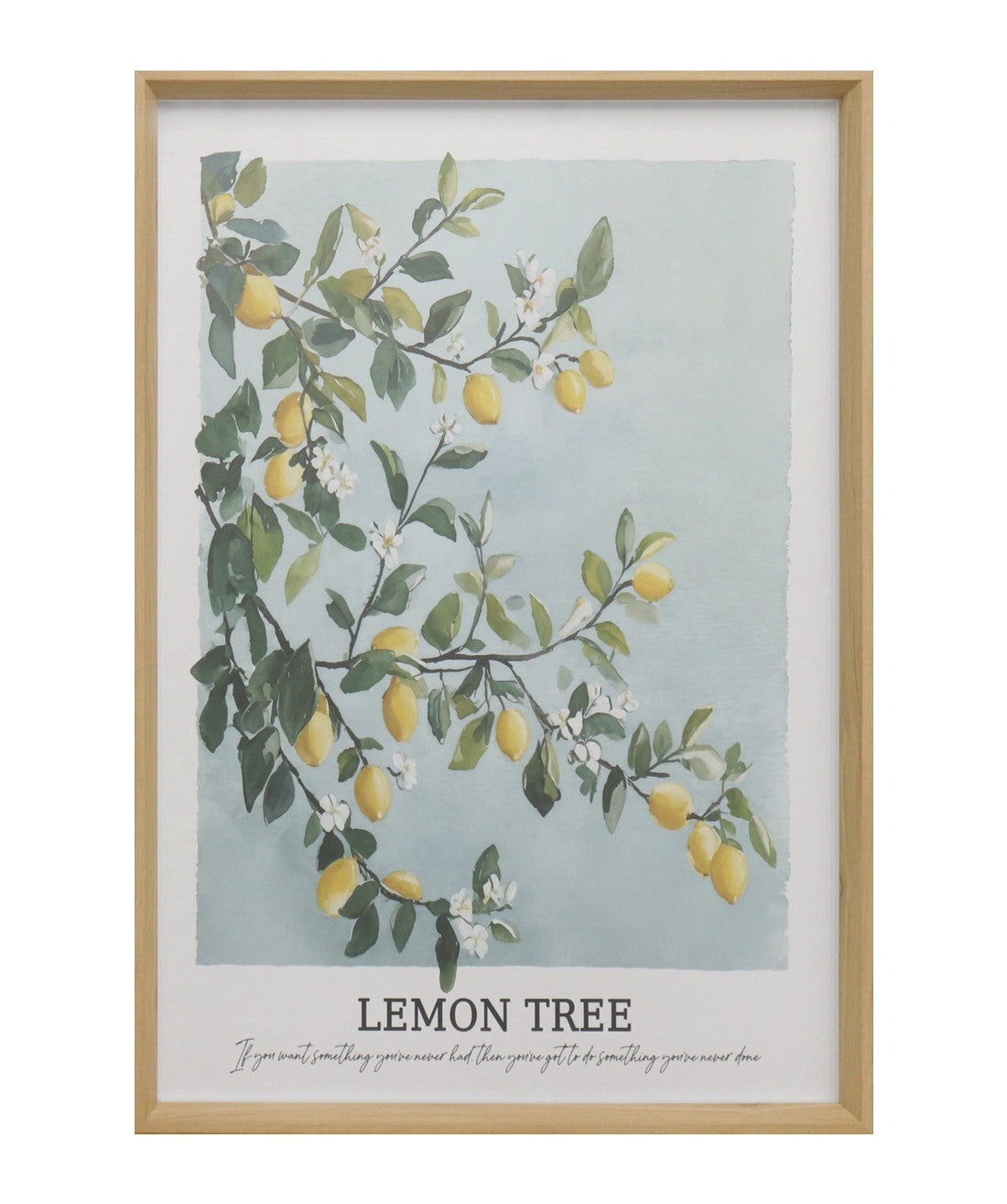 Cuadro 50x70 arbol limon