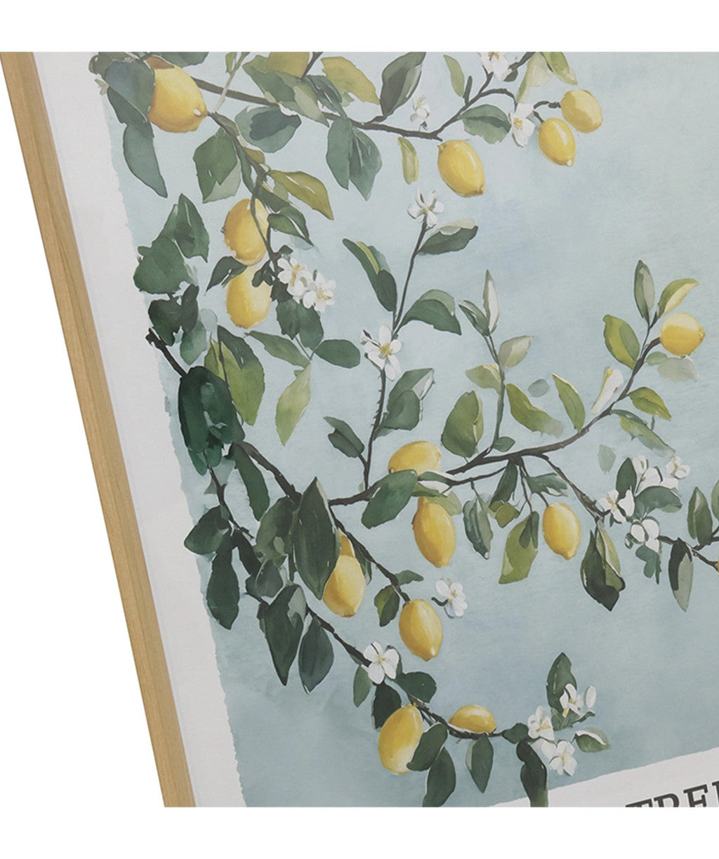Cuadro 50x70 arbol limon