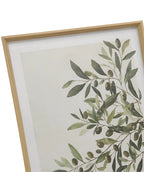 Cuadro 50x70 hojas olivo