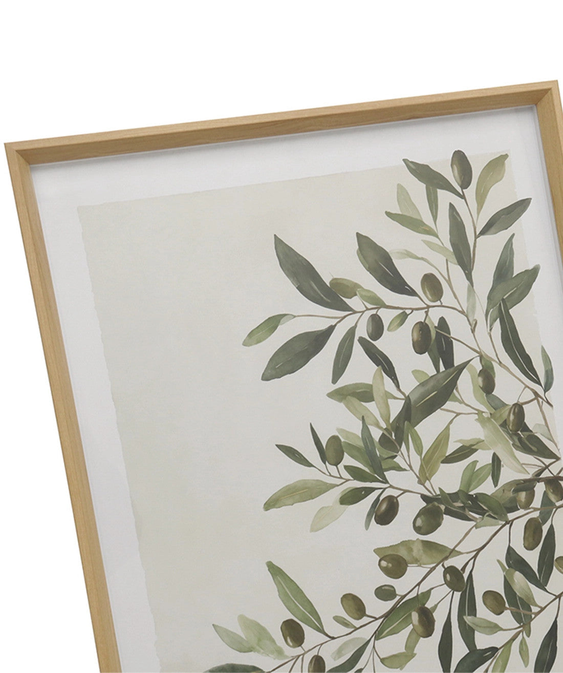 Cuadro 50x70 hojas olivo
