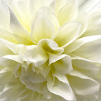 Flor artificial blanca 86cm