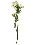 Flor del obispo artificial blanco