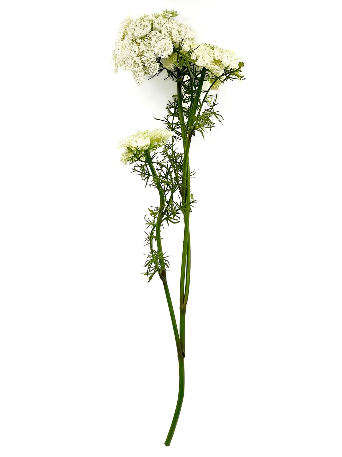 Flor del obispo artificial blanco