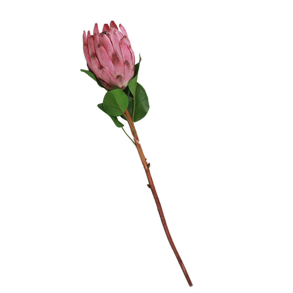 Flor protea artificial L rosada