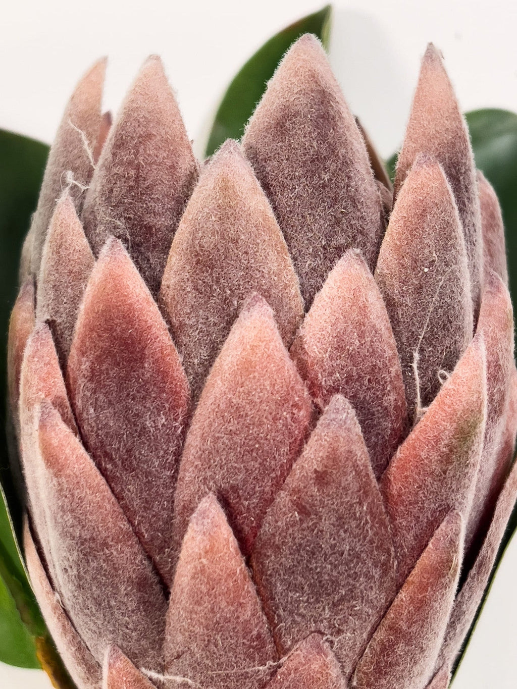 Flor protea artificial M morada