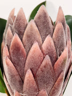 Flor protea artificial M morada