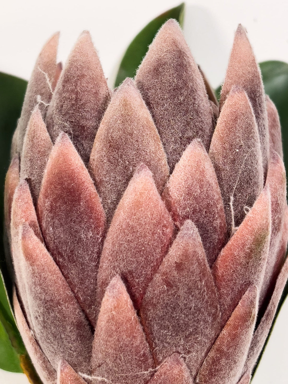 Flor protea artificial M morada