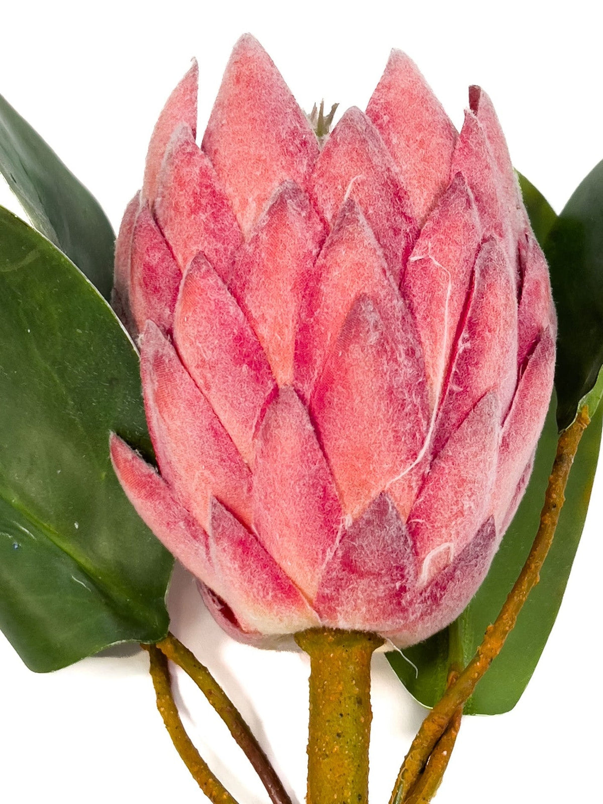 Flor protea artificial M rosada