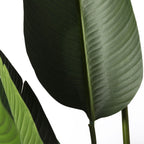 Hoja de plátano artificial 185cm