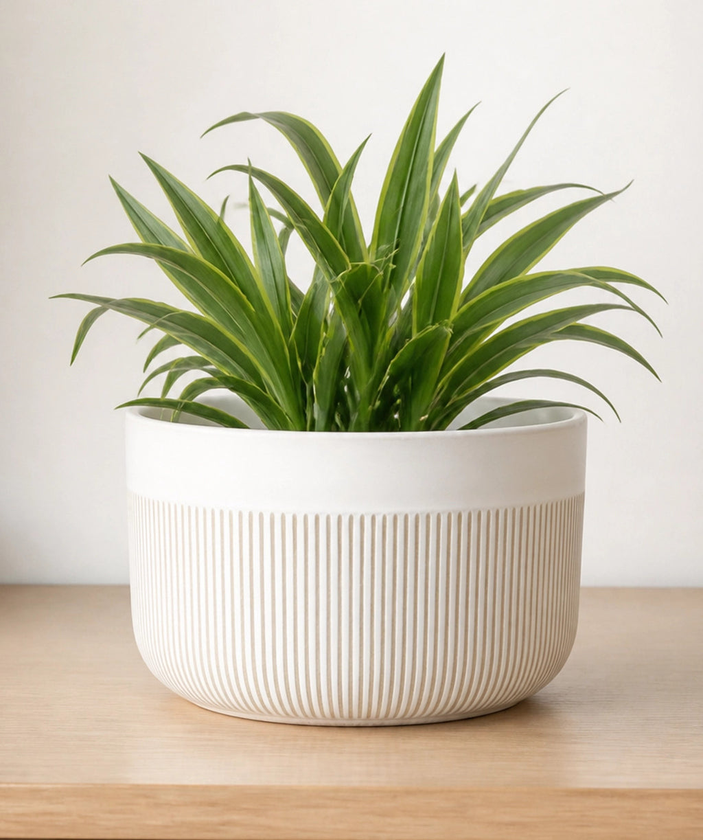 Macetero cerámica 21x17.5cm blanco glossy rayas