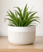Macetero cerámica 21x17.5cm blanco glossy rayas