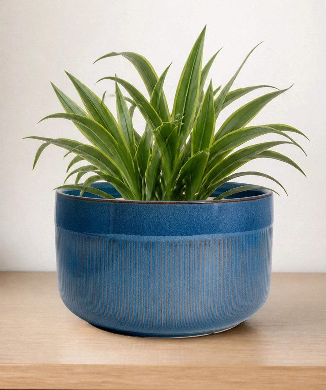 Macetero cerámica 21x17.5cm azul glossy rayas