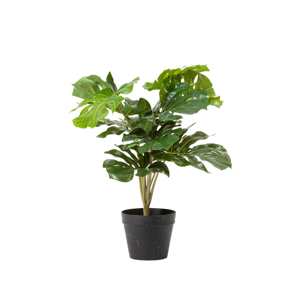 Monstera artificial 60cm