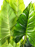 Planta artificial Filodendro 40cm
