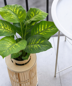 Planta artificial Nieve Tropical 40cm