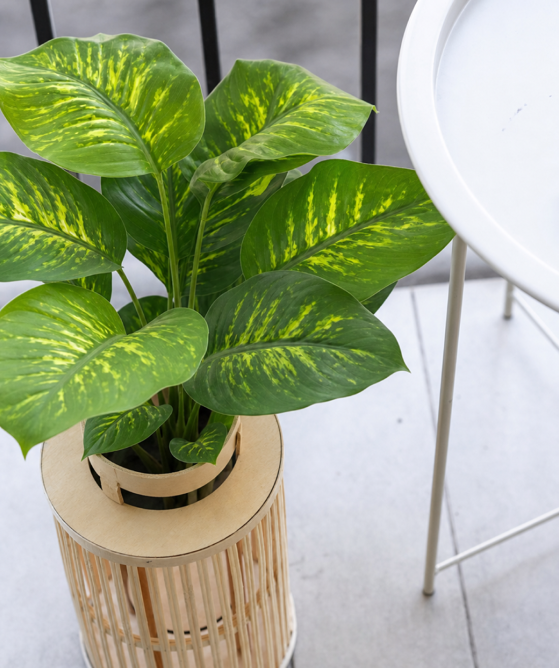 Planta artificial Nieve Tropical 40cm