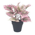 Planta artificial Singonio rosa 30cm
