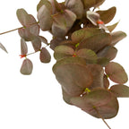 Rama artificial 80cm