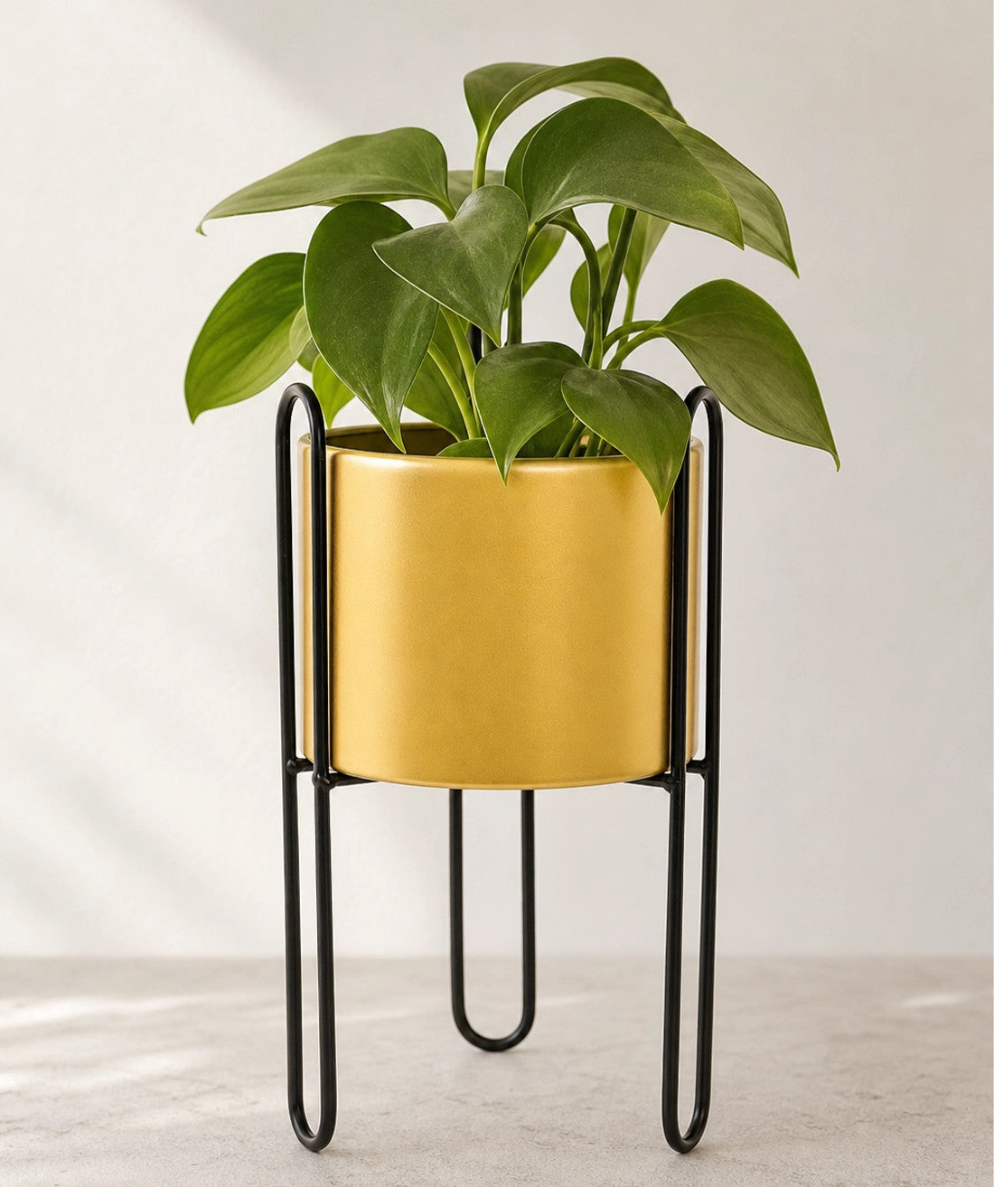 Soporte planta 15x15x28cm negro