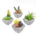Suculenta mix base piedra 13,2cm