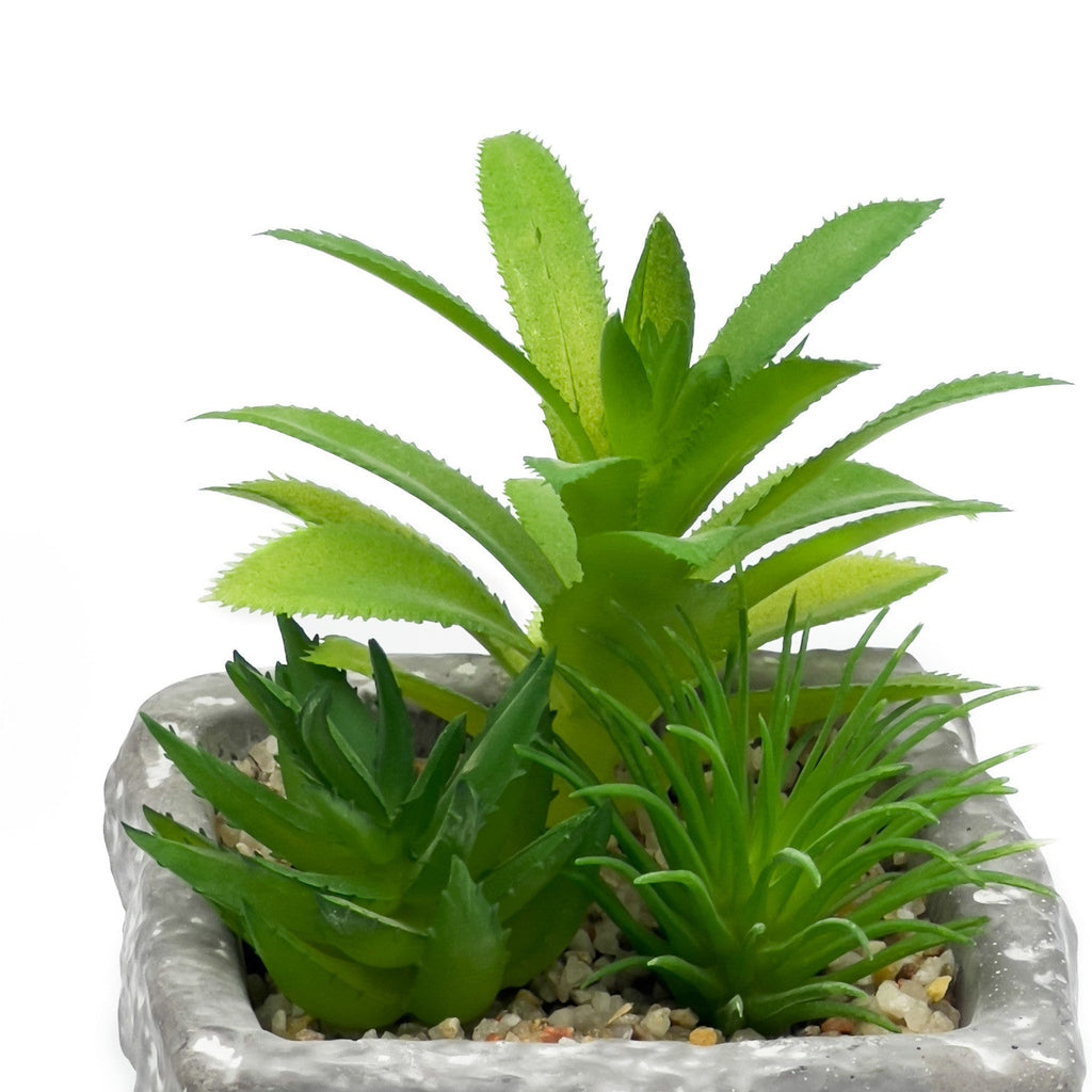 Suculenta mix base piedra 13,2cm