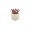 Suculenta rosada base prisma 8,5cm