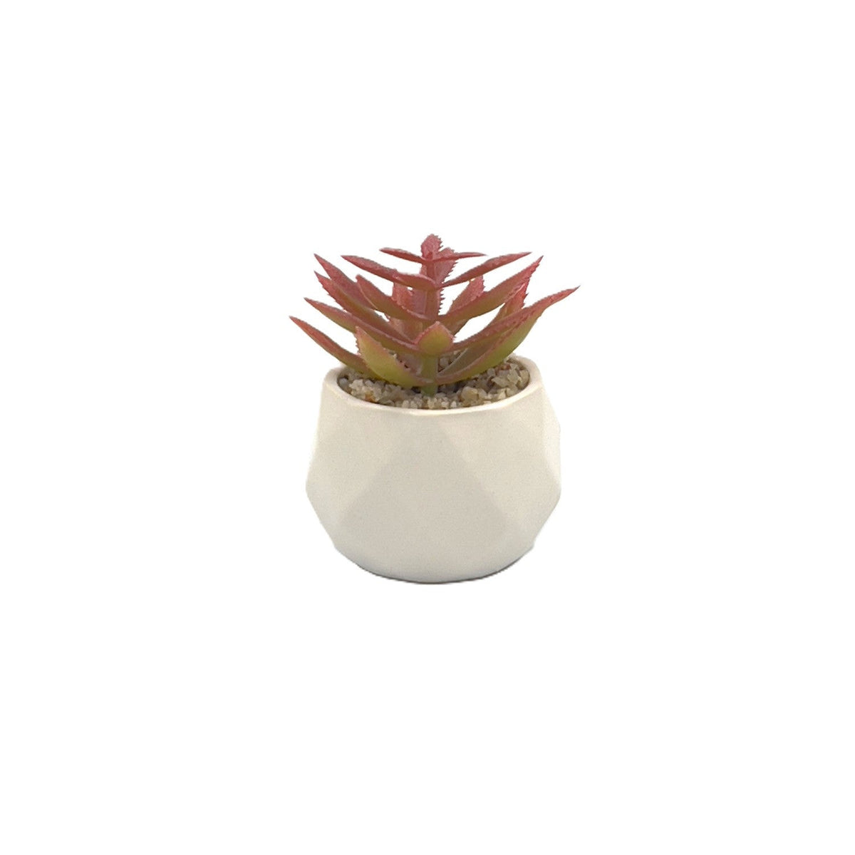 Suculenta rosada base prisma 8,5cm