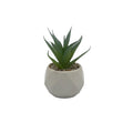 Suculenta verde base prisma 10,5cm